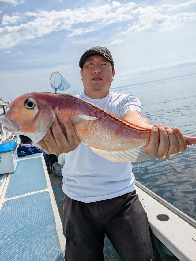 アマダイ(アカアマダイ)