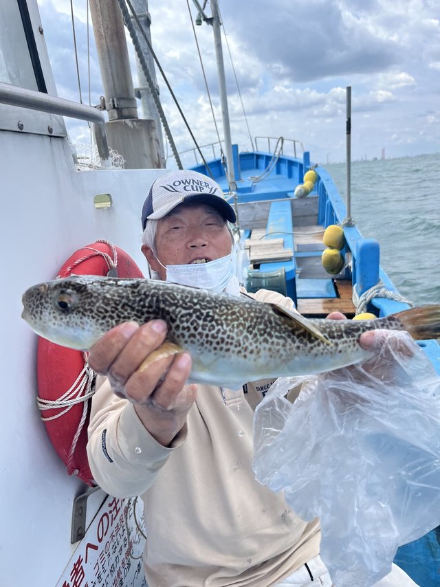 ショウサイフグ