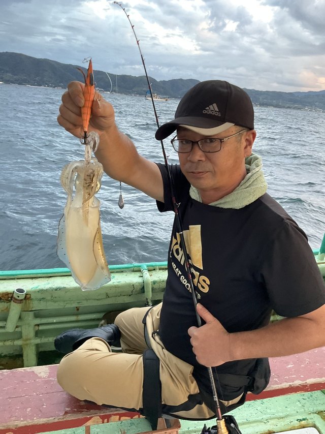 アオリ(アオリイカ)