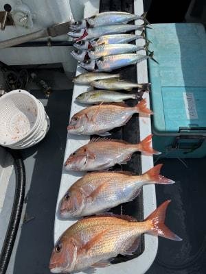 マダイ・イサキ・サバ(ゴマサバ)