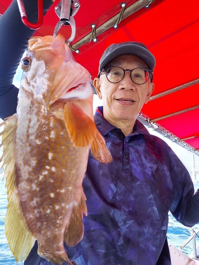 アコウ(キジハタ)