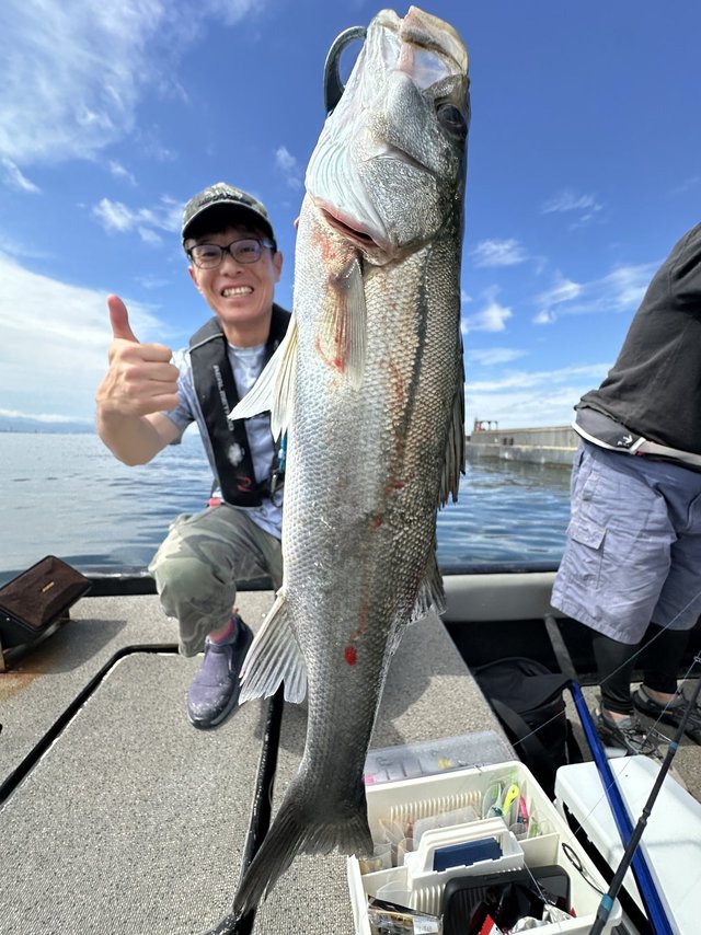 シーバス(スズキ)