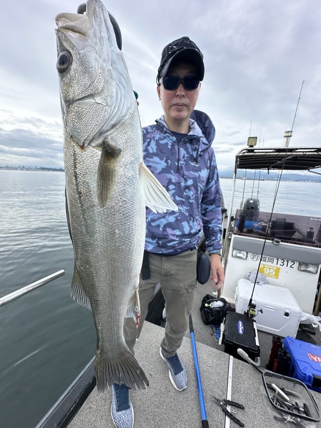 シーバス(スズキ)