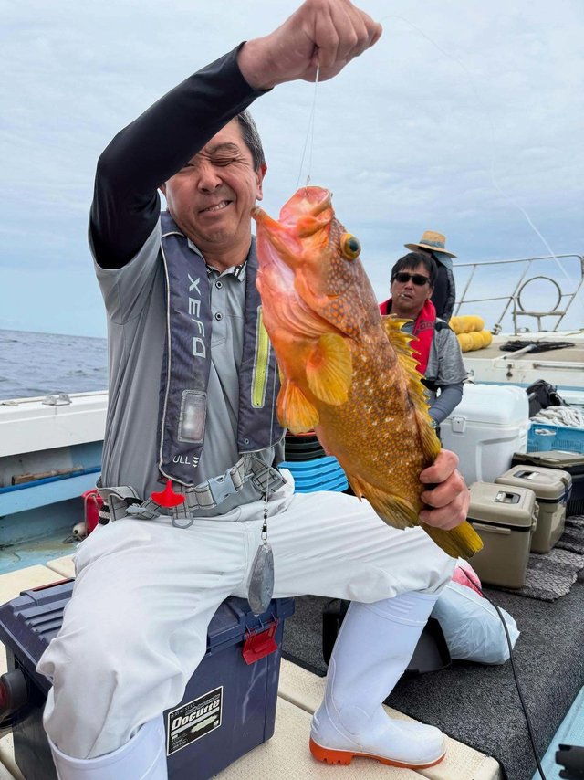 アコウ(キジハタ)