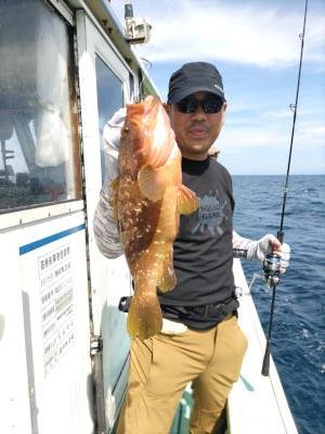 アコウ(キジハタ)