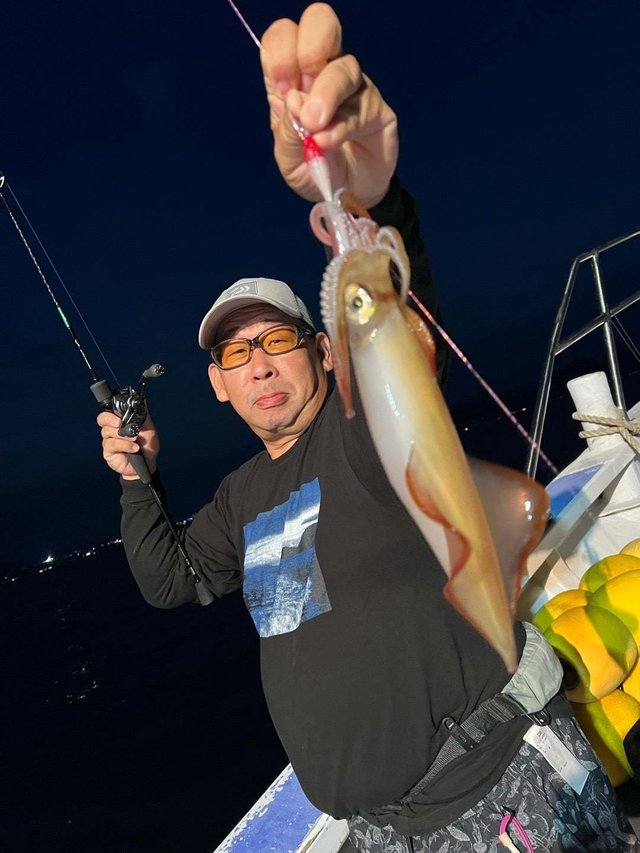 マルイカ(ケンサキイカ)