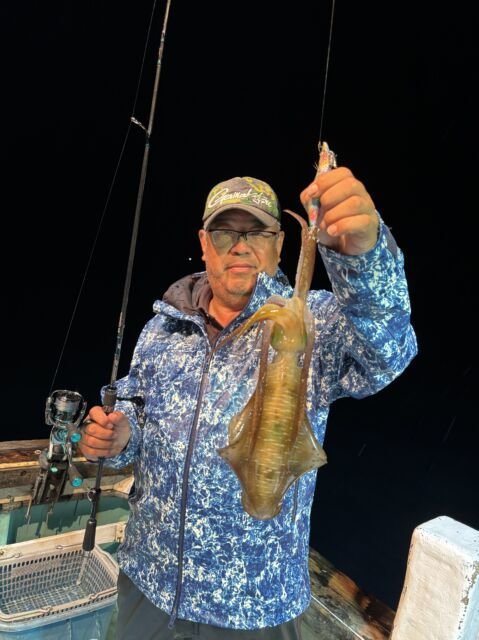 アオリ(アオリイカ)