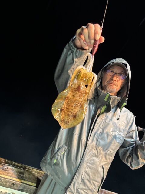 アオリ(アオリイカ)