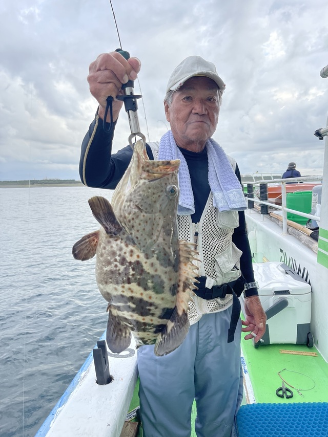 チャイロマルハタ