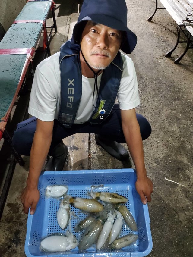 アオリイカ・ハリイカ(コウイカ)