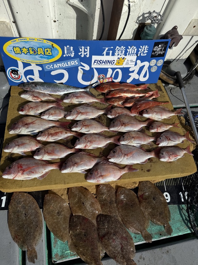 タイ(マダイ)・サゴシ(サワラ)