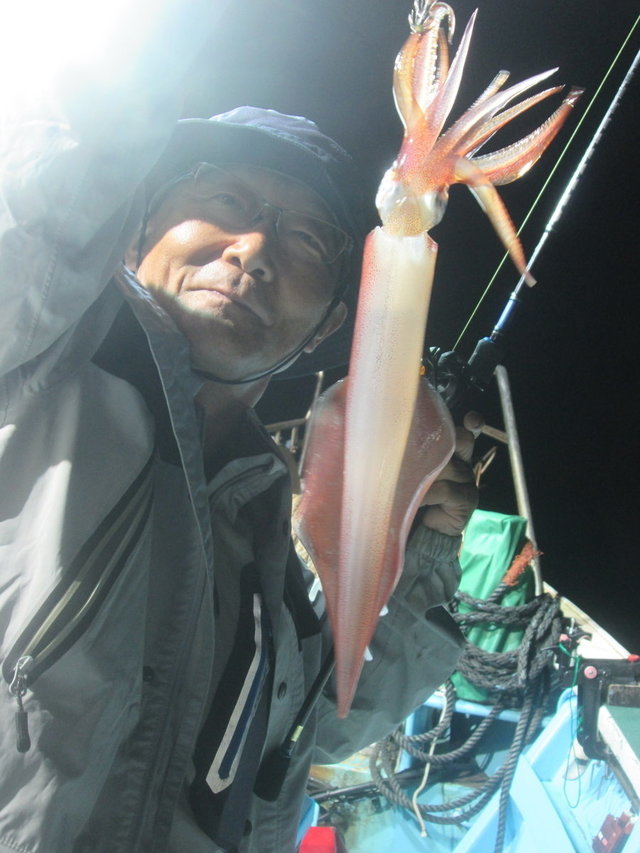 マイカ(ケンサキイカ)