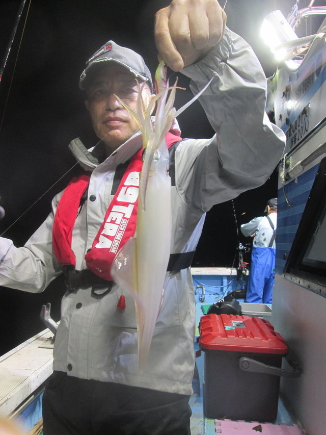 マイカ(ケンサキイカ)