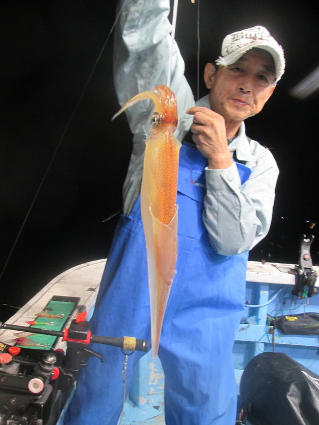 マイカ(ケンサキイカ)