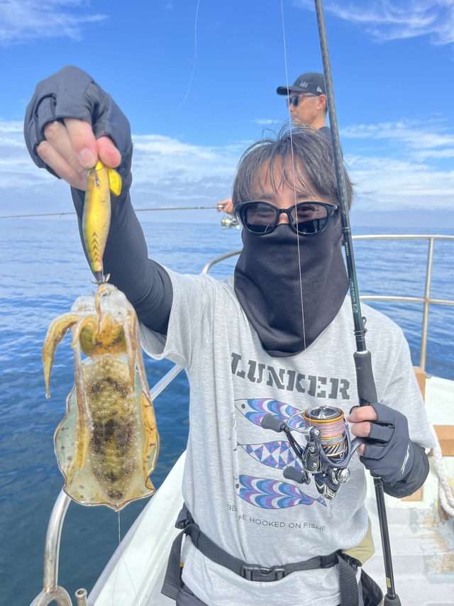 イカ(アオリイカ)