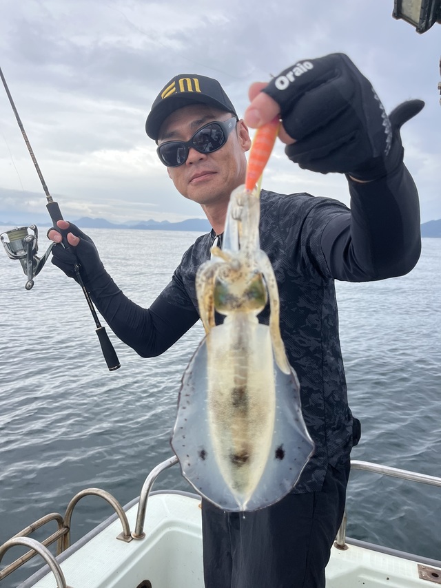 イカ(アオリイカ)