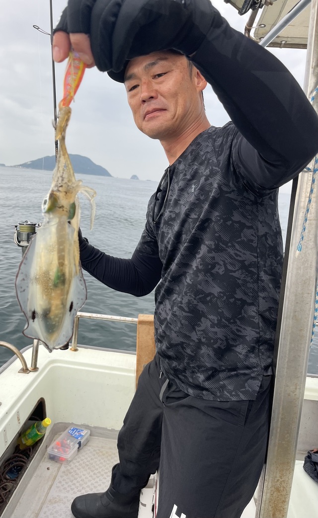 イカ(アオリイカ)