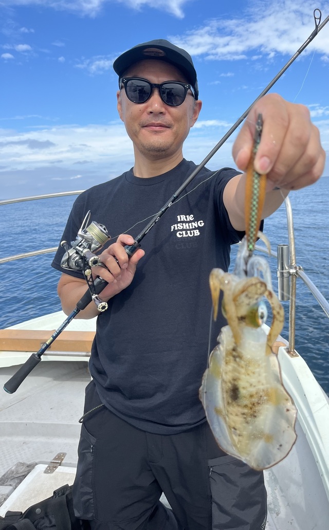 イカ(アオリイカ)