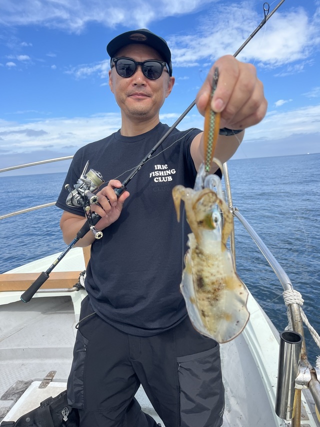 イカ(アオリイカ)