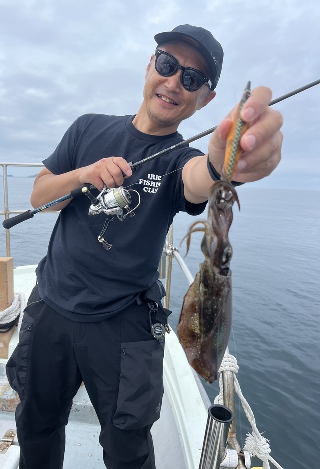 イカ(アオリイカ)