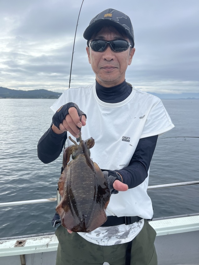 イカ(アオリイカ)