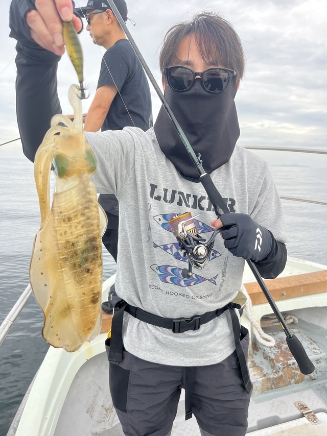 イカ(アオリイカ)