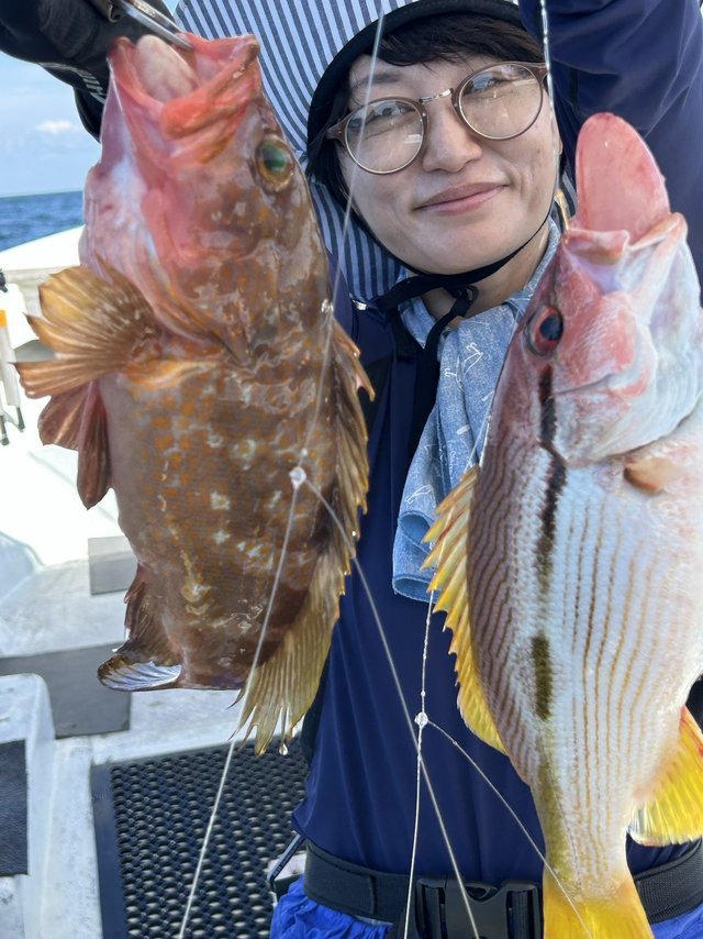 アコウ(キジハタ)