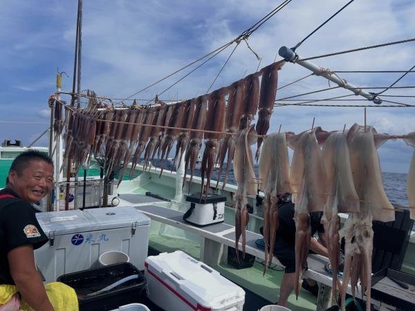 スルメ(スルメイカ)