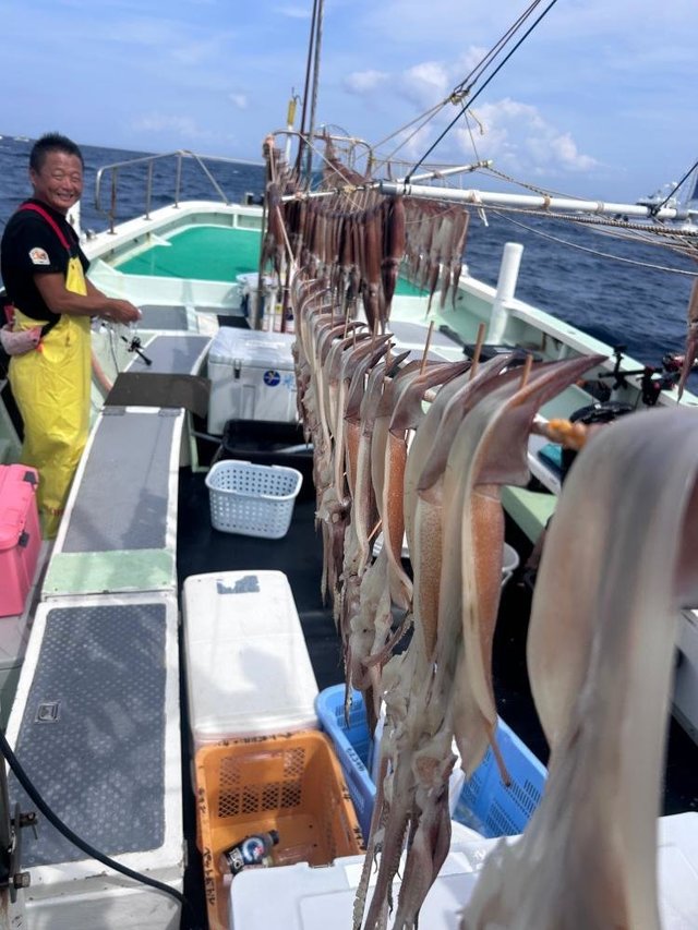 スルメ(スルメイカ)