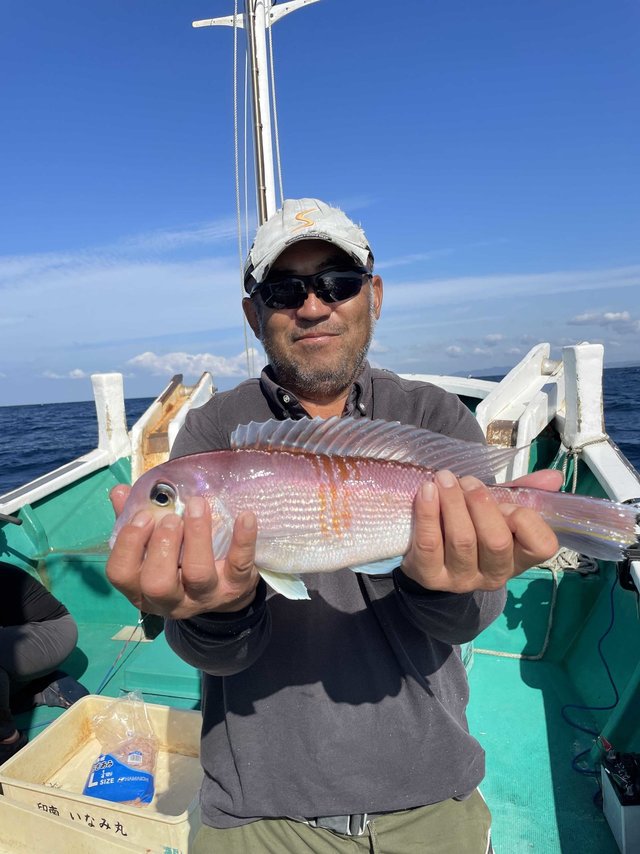 アマダイ(アカアマダイ)