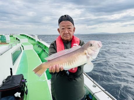 アマダイ(アカアマダイ)