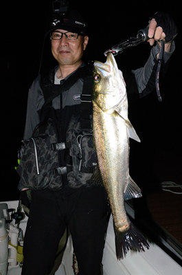 シーバス(スズキ)