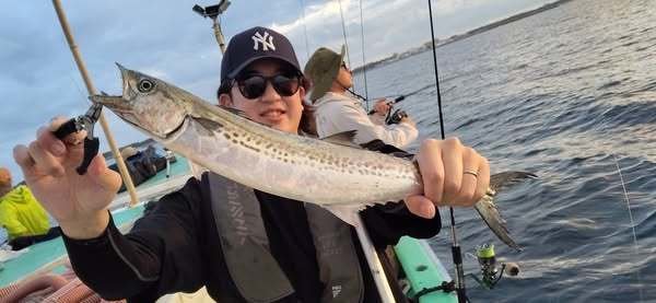 サゴシ(サワラ)