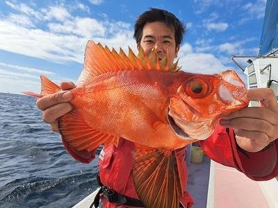 キントキ(チカメキントキ)