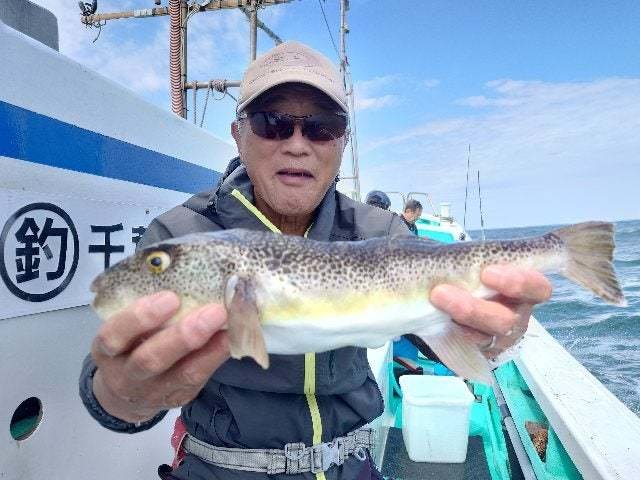 ショウサイフグ