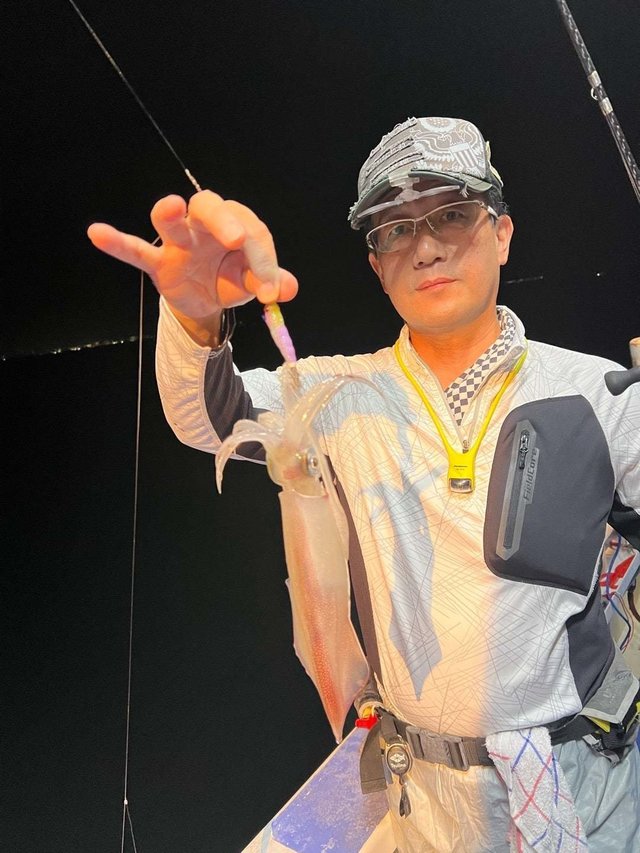 マルイカ(ケンサキイカ)