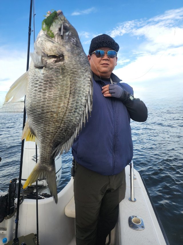 キビレ(キチヌ)