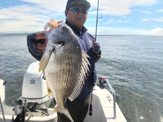 キビレ(キチヌ)