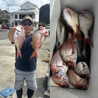 マダイ・ハナダイ(チダイ)・イサキ