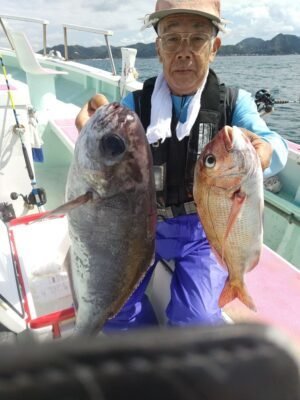 マダイ・メダイ