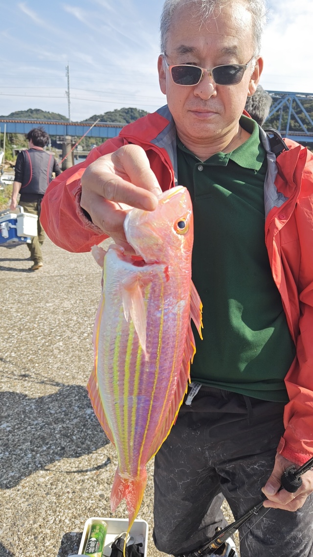 イトヨリ(イトヨリダイ)