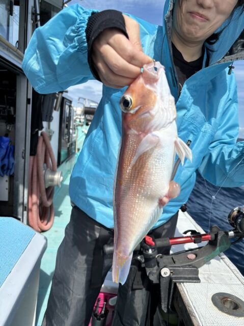 アマダイ(アカアマダイ)