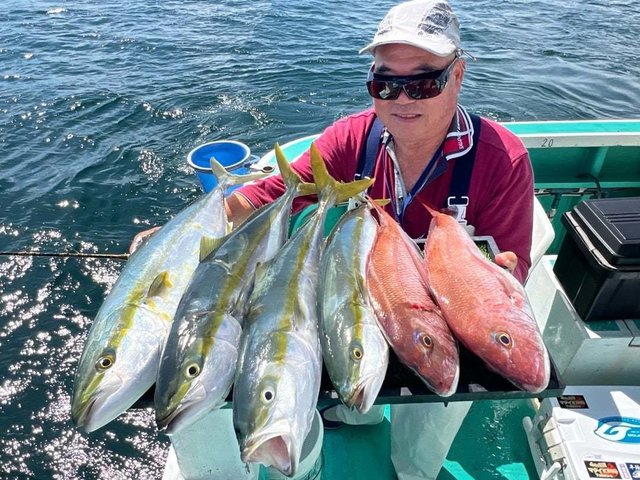 マダイ・イナワラ(ブリ)