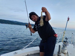 アオリ(アオリイカ)