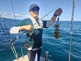 アオリ(アオリイカ)