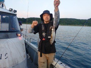 アオリ(アオリイカ)