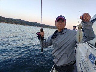 アオリ(アオリイカ)