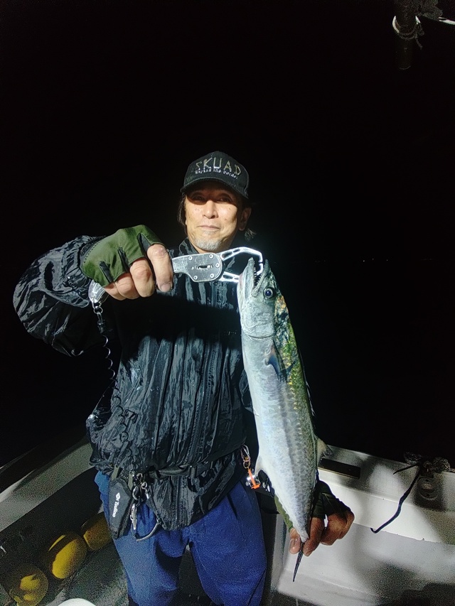 サゴシ(サワラ)