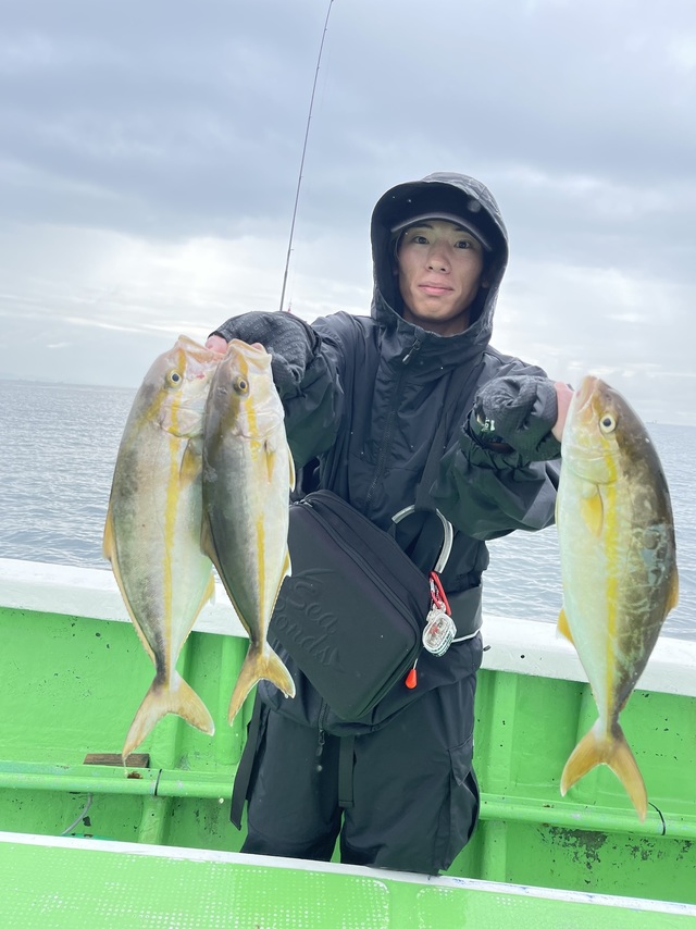 ショゴ(カンパチ)