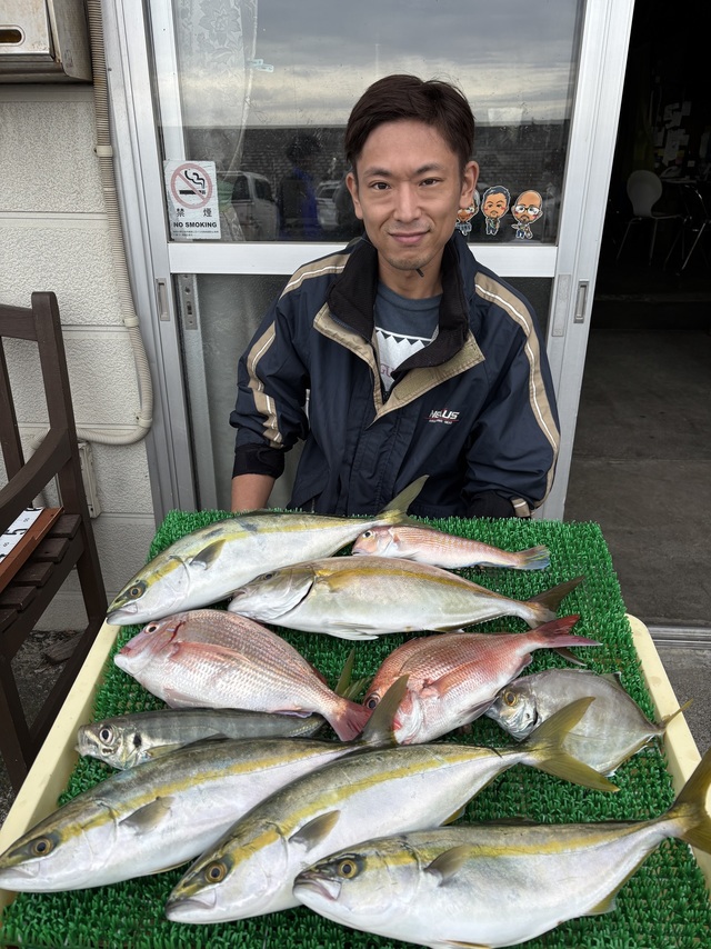 アジ(マアジ)・イナダ(ブリ)